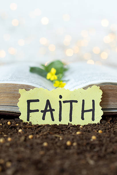 Faith handwritten text with mustard seeds on soil and holy bible book. Close-up. Copy space. Spiritual growth, trust in God Jesus Christ, biblical concept.