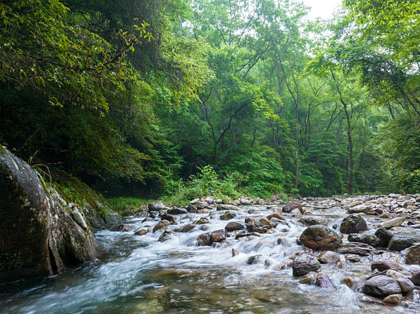 istock Looking down at a stream with green leaves in the foreground 2219314453