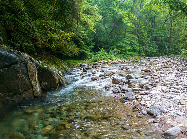 istock Looking down at a stream with green leaves in the foreground 2219314471