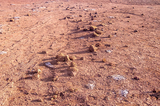 istock Mars-like surface with red soil and scattered rocks, Martian-inspired landscape, with red hues and rocky terrain, Red earth on Madeira, scattered rocks, unique textures and colors 2219318411