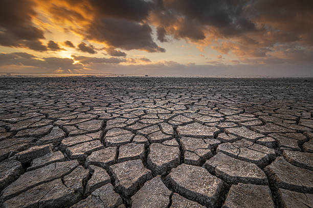 istock Exploring the exposed Wadden Sea flats where cracks form in the muddy seabed. 2219324802