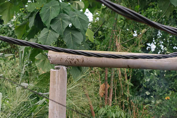 Storm damage. Natural hazard. Urban tree maintenance issue. Emergency repair work to restore power infrastructure.