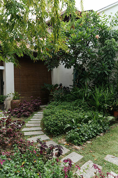 istock Tropical garden with a stone path surrounded by vibrant greenery in a peaceful courtyard. 2219326754