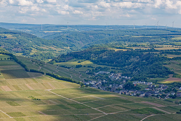 istock Close-up on Dhron with vineyards in the Mosel valley 2219328459