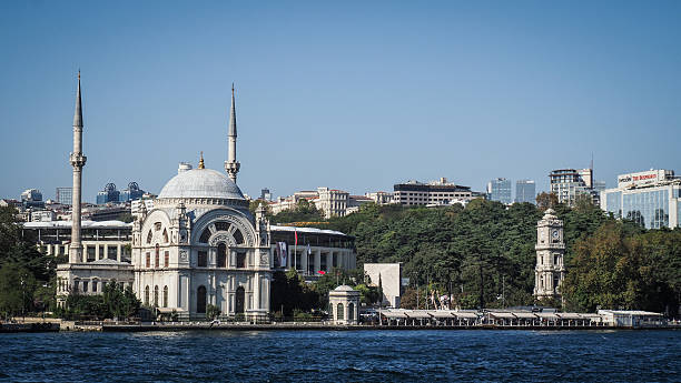 istock The architecture of Istanbul in Turkey 2219329374