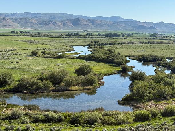 istock Silver Creek Preserve near Sun Valley, Idaho 2219330955