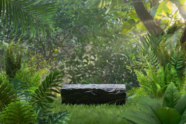 istock Stone tabletop podium outdoors in tropical forest nature background.natural product present pedestal rock stand display,jungle paradise concept. 2219331999