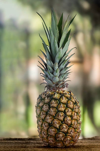 istock Pineapple (Ananas comosus) in close-up with blurred background, fresh and natural image 2219334083