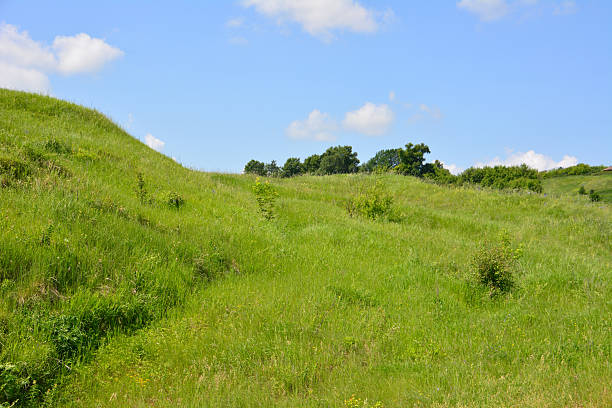 istock A vibrant green hillside under a clear blue sky wallpaper 2219338921