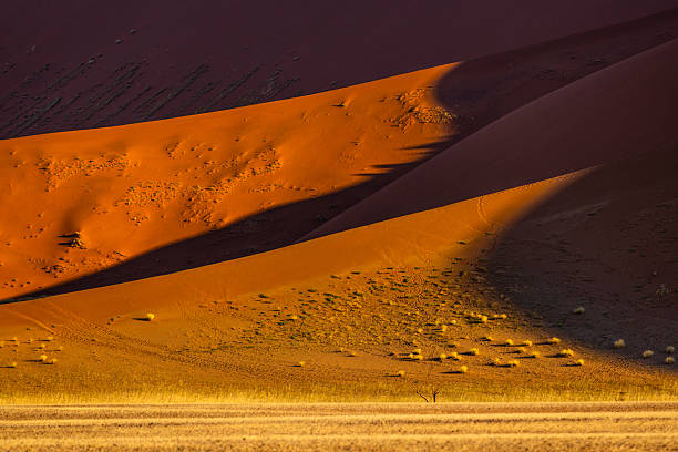 istock Rolling Dunes and Morning Shadows in the Namib Desert, Namibia 2219338979