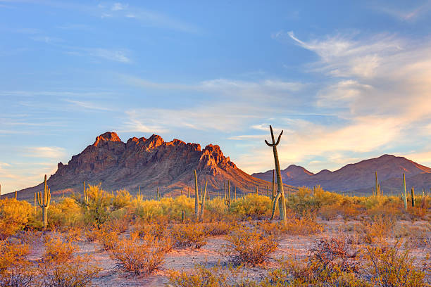 istock Ironwood Forest National Monument in Arizona 2219341163