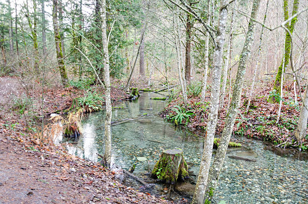 A section of the Thacker Regional Park in Hope, British Columbia,  Canada
