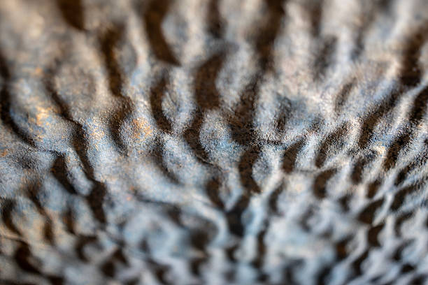 Macro photograph showcasing a textured surface with intricate, wavelike patterns, creating an abstract visual composition with detailed focus and soft lighting.