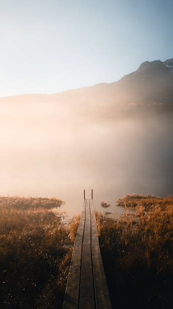 Boardwalk leading into mountain lake in morning mist, Engadine Alps, Graubunden Canton, Swiss Alps