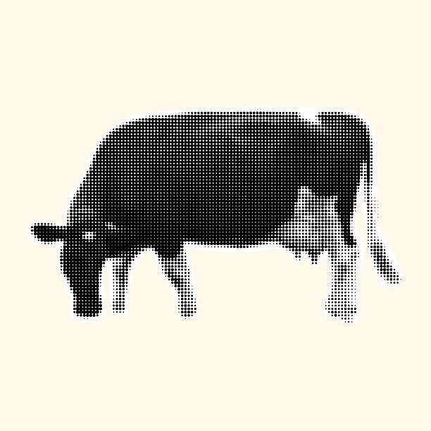 Retro halftone spotted cow. Vintage stipple vector illustration. Farm animal graphic element