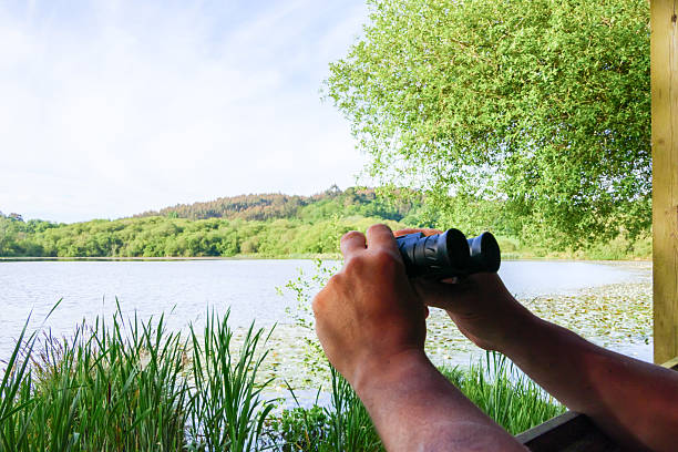 A pair of hands holding binoculars through the window of a birdwatching hide. A green environment with a lake and lots of trees can be seen outside. The natural setting is peaceful and well lit, ideal for birdwatching. The image features copy space in the upper left corner, perfect for text placement.