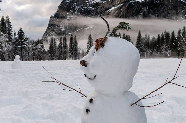 A snowy winter scene in Yosemite national park, California