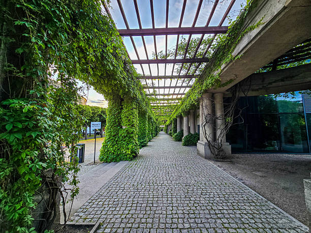 istock Concrete Tunnel Covered in Lush Ivy 2219356164