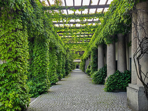 istock Concrete Tunnel Covered in Lush Ivy 2219356333