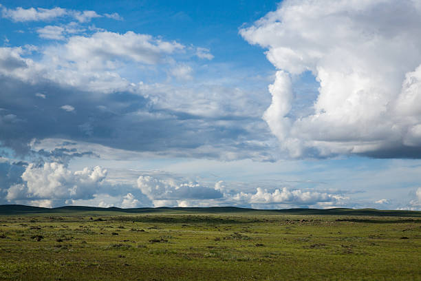 Mongolian steppe, Gobi desert landscape, Mongolia scenery
