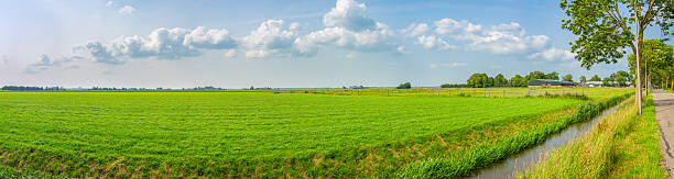 Scenic panoramic view of the green wide open dutch countryside near Gouda, western Netherlands.