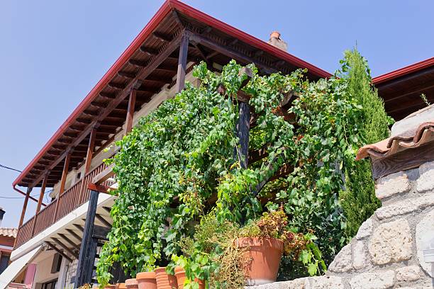 istock A building with a balcony is partially obscured by lush greenery. 2219359034