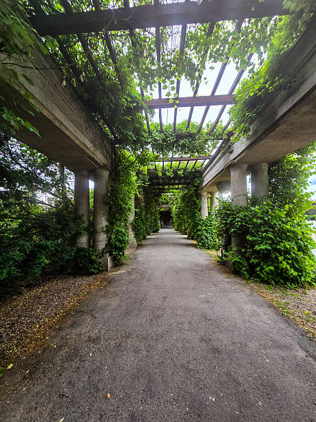 istock Concrete Tunnel Covered in Lush Ivy 2219365685