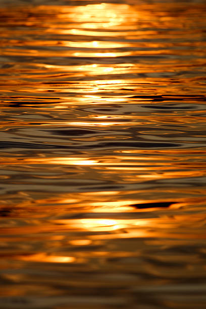 istock Seething water from under a boat at sunset 2219373589