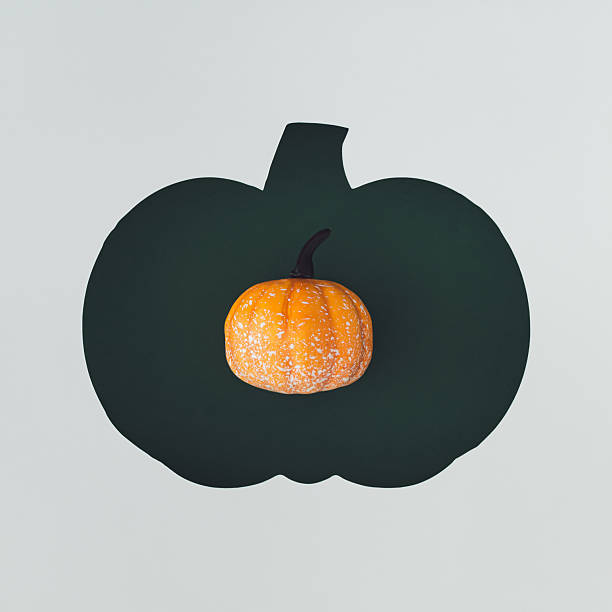istock Creative autumn flat lay of decorative pumpkin visible through a pumpkin shaped gap. Cozy seasonal concept perfect for fall backgrounds, Thanksgiving themes and harvest celebrations. Top view banner. 2219376289