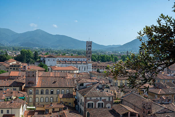 istock Panoramic view of Lucca with San Michele 2219376849