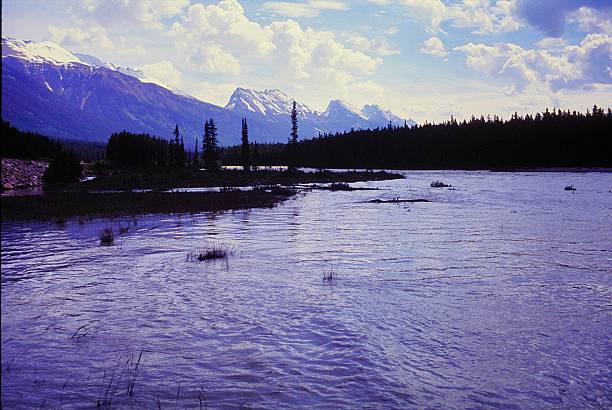 istock Athabasca River and Athabasca Falls in Jasper National Park Alberta Canada July 1991 2219379886