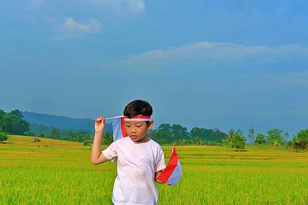 A young boy proudly holds a small Indonesian flag in a green paddy field, symbolizing national pride and childhood spirit.
