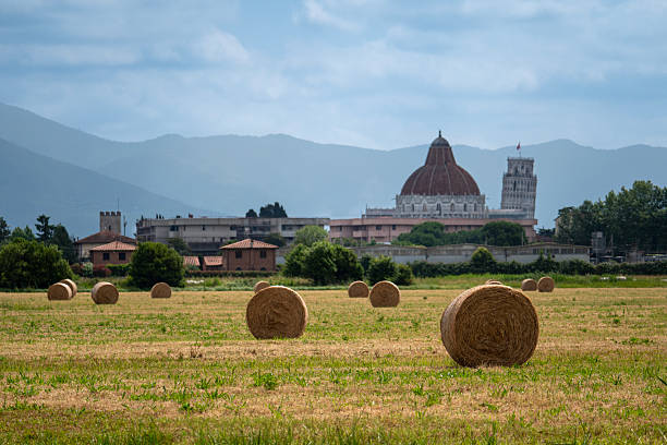 Paesaggio rurale con Cattedrale di Pisa e rotoli di paglia
