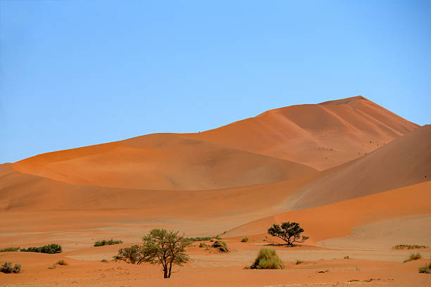 Big sand dunes in Namib desert