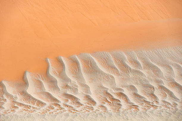 Ripple marks on sand dune in Namib desert