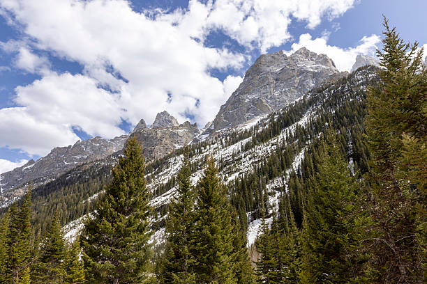 istock Cascade Canyon in Grand Teton National Park 2219390036