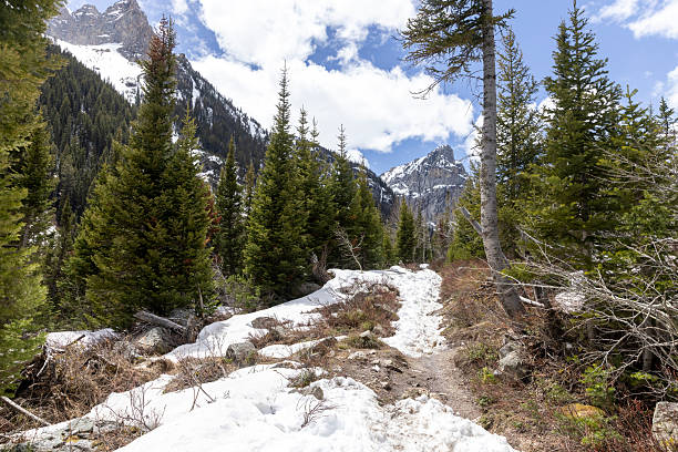 istock Cascade Canyon in Grand Teton National Park 2219390063
