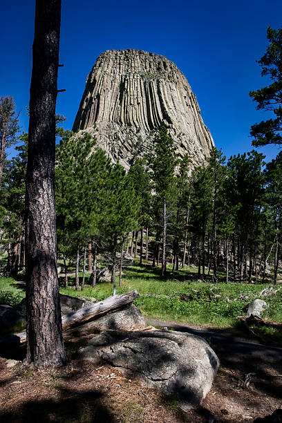 istock Devils Tower Wyoming Morning View Rising Above Pine Trees and Meadow 2219394456