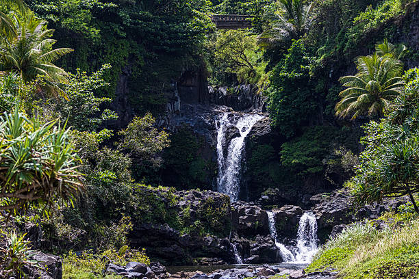 istock Waterfall Along the Road to Hana 2219396405