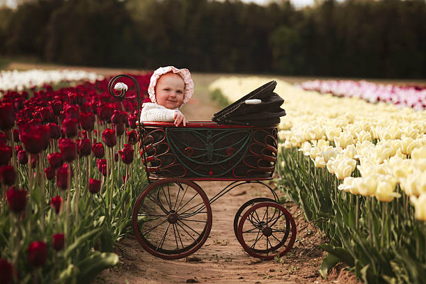 A baby girl in a vintage pram in a tulip field. The baby is 6 months old. Shot with a Canon 5D Mark IV.