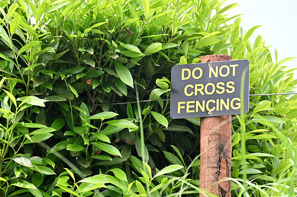 istock Do Not Cross Fencing 2219400791