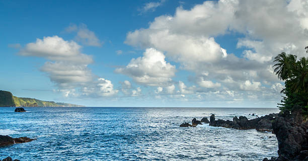 istock Ocean view with rocky shoreline, palm trees, and a cloudy blue sky. 2219401515