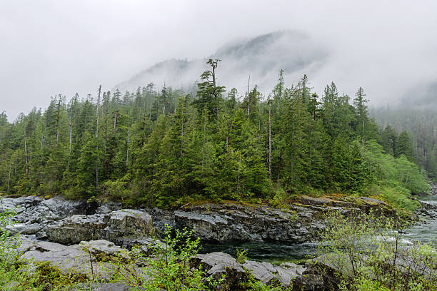 Kennedy river wilderness area, a popular rest stop on route to Pacific Rim National Park.