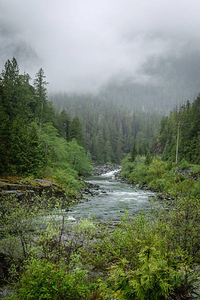 istock Kennedy River Wilderness Area 2219404760
