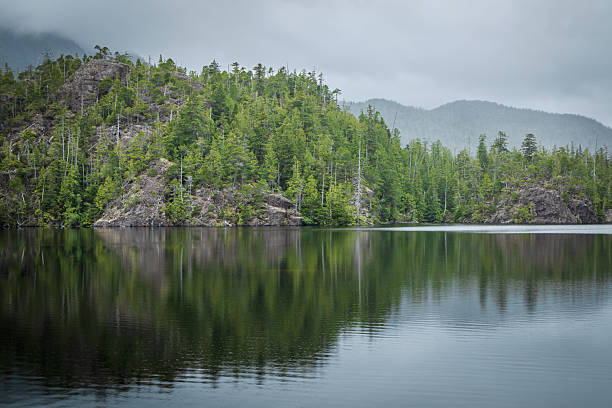 Larry Lake, located along the Pacific Rim highway.