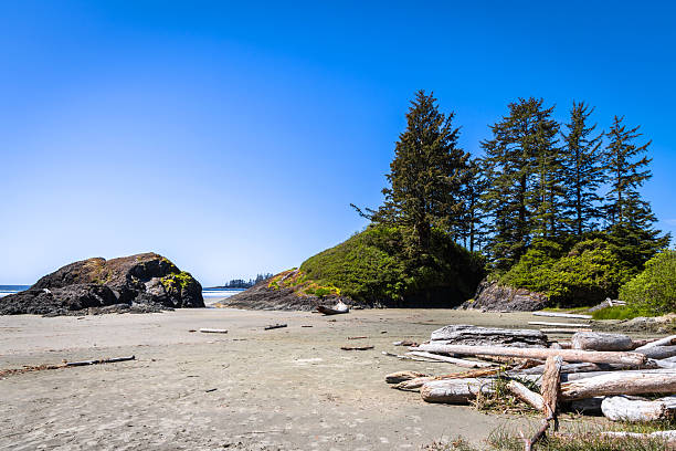 istock Pacific Rim National Park, British Columbia, Canada 2219406610