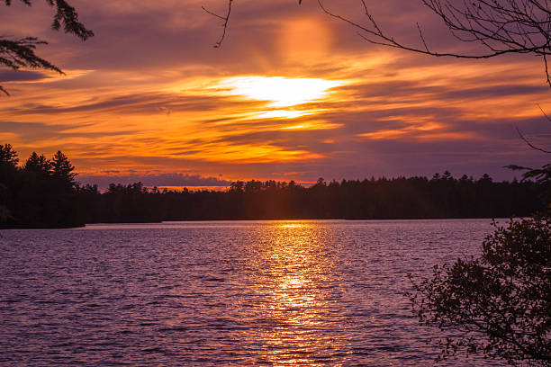 istock Sunrise with Branches and a Lake 2219407371