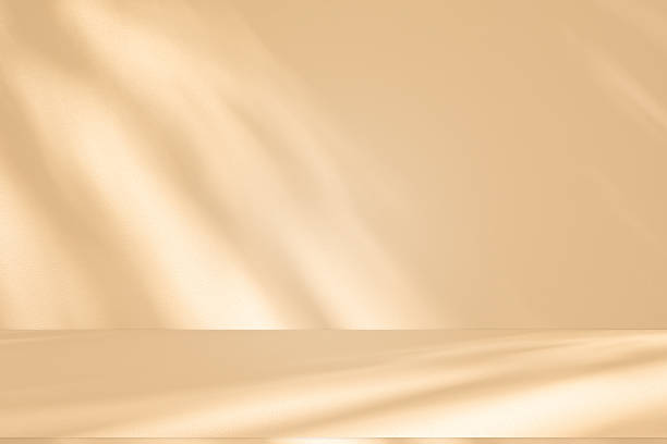 istock Studio style background wall decoration presentation uses white and beige tones. with shadows cast from a nearby window, concept creating a decorative 2219407492