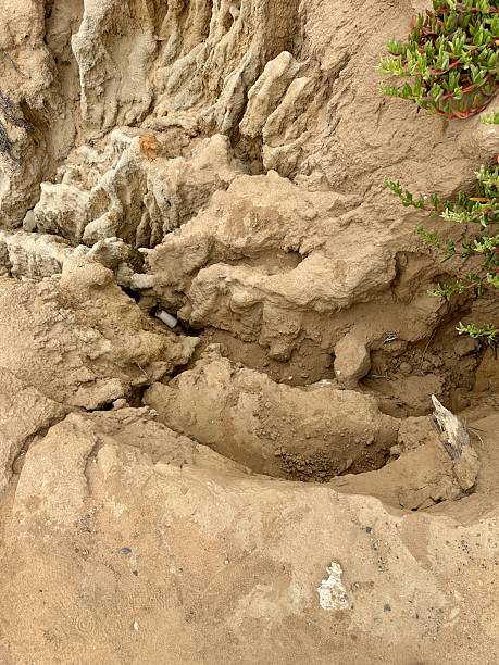 istock Details of Bluff Erosion, Carlsbad 2219409869