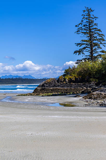 Sandy shoreline of Pacific Rim National Park on a warm sunny day.